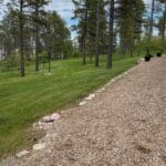 Freshly mowed green lawn with clean edging and pine trees in Spearfish, South Dakota, completed by South Dakota Services landscaping and lawn care company.