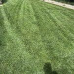Freshly mowed residential lawn with professional striping in Spearfish, South Dakota by South Dakota Services lawn care team.