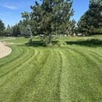 South Dakota Services mowing a residential lawn in Spearfish, SD with professional striping and landscape edging around trees and rock beds. Select 72 more words to run Humanizer.
