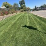 Commercial lawn in Spearfish with straight mowing lines maintained by South Dakota Services landscaping team.