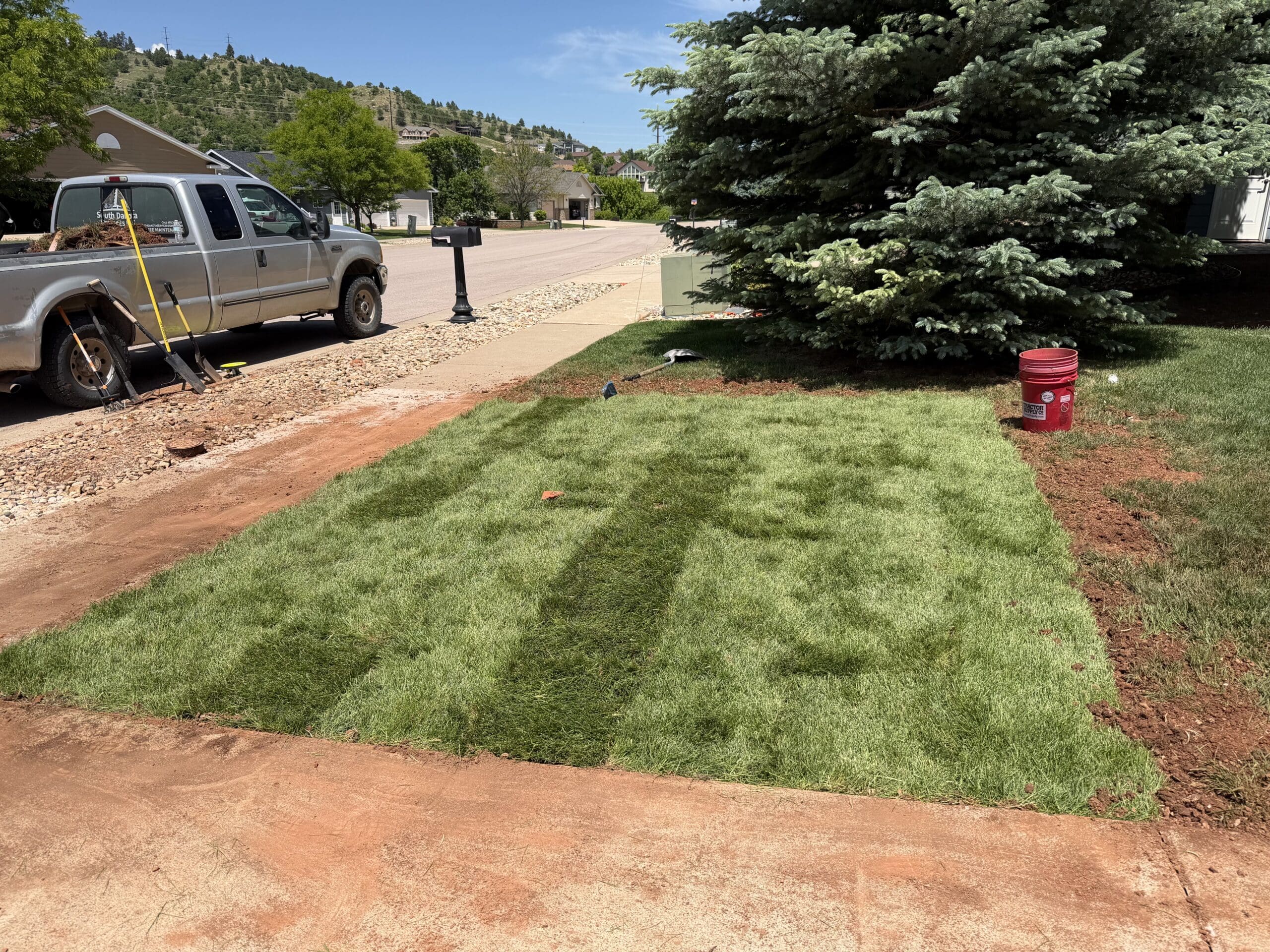 Professional sod installation by South Dakota Services in Spearfish, SD featuring freshly delivered sod being installed on a residential front lawn in the Black Hills.